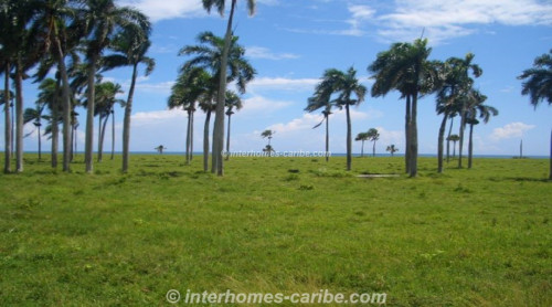photos for LAS CANAS: 3x LOTS WITH 125 m SEAFRONT - CURRENT PRICE REDUCTION